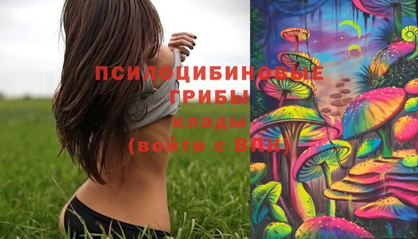мет Дмитров