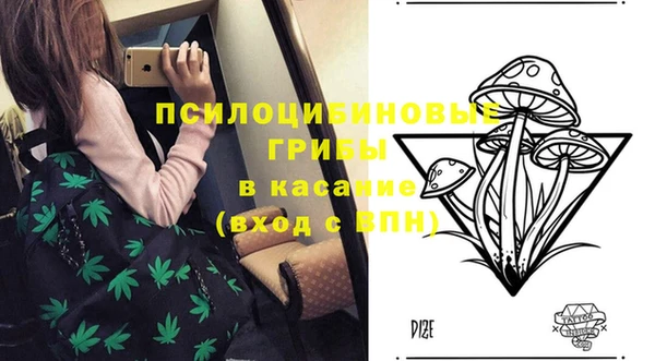 мет Дмитров