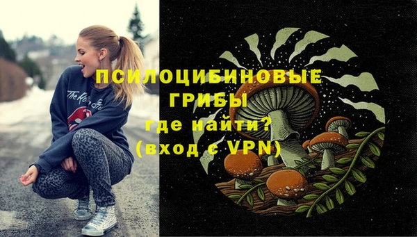 мет Дмитров