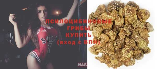 мет Дмитров
