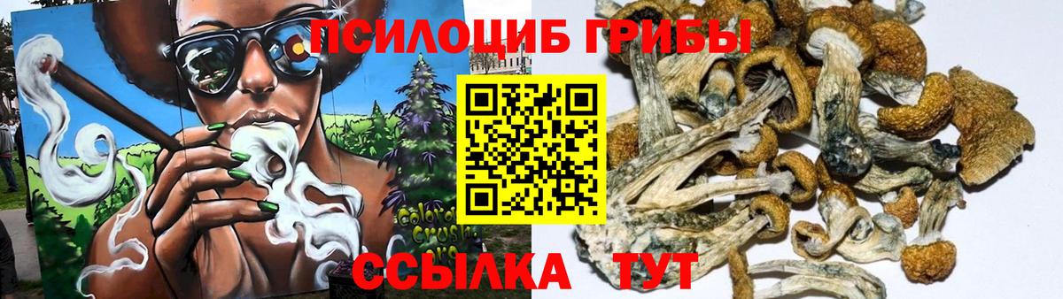 купить наркотик  Галлюциногенные грибы Psilocybine cubensis  Вход с VPN  Псилоцибиновые грибы MAGIC MUSHROOMS  Нурлат 
