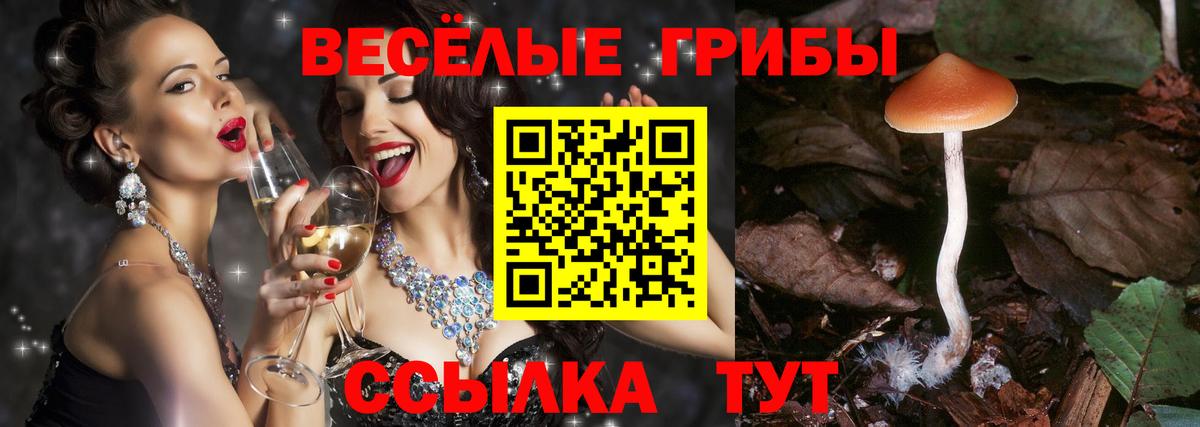 Галлюциногенные грибы прущие грибы Нурлат